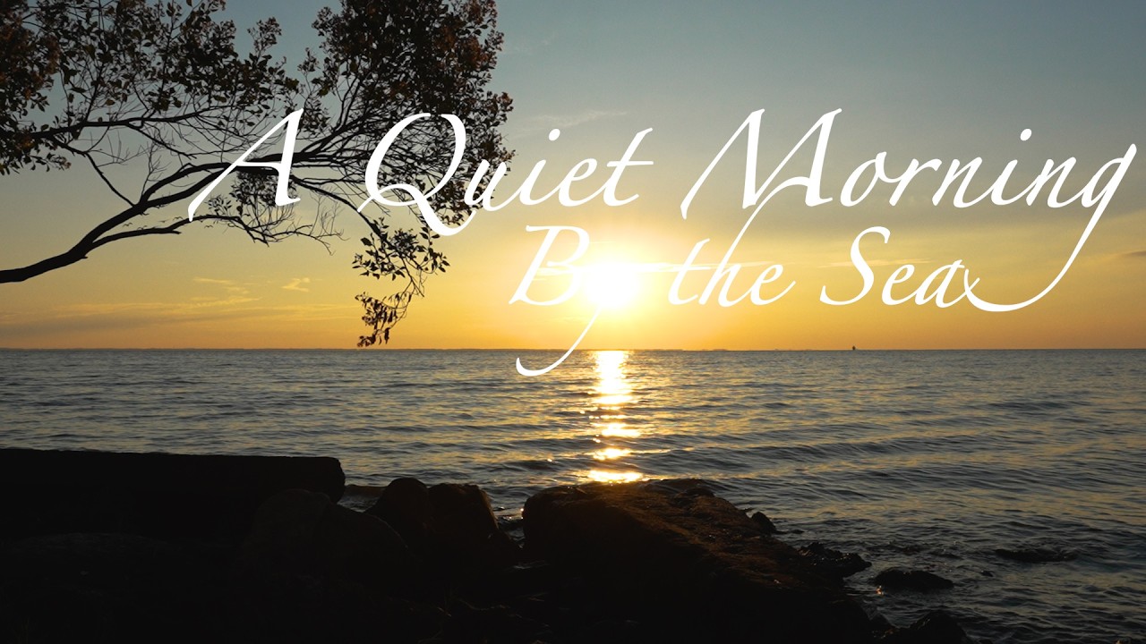 A Quiet Morning by the Sea | Sony FX30