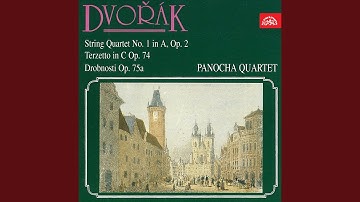 String Quartet No. 1 in A major, Op. 2 (B.8) - Andante - Allegro