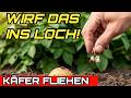 WIRF DAS INS PFLANZLOCH! Kartoffelkäfer verschwinden & Ernte verdoppelt sich.