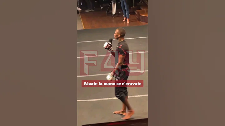 😂 Adesanya & Whittaker FUNNY moment at UFC 293 #shorts
