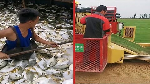 Most Skillful and Smart Workers I