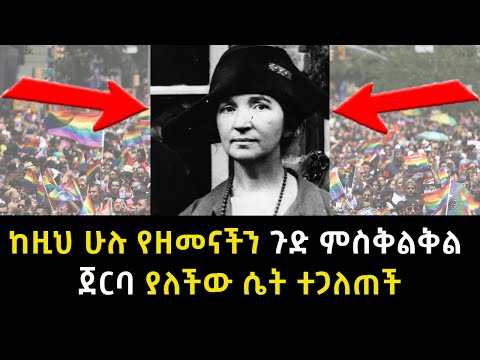 ቪዲዮ: ውሾች ሁሉ ከተኩላዎች ይወርዳሉ?