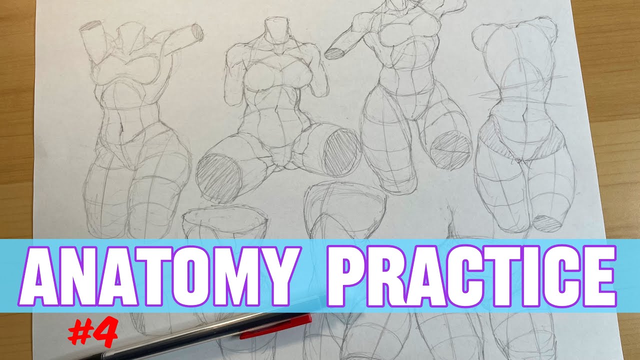 Anatomy Drawing Practice - Female Torso Sketches Part 2 Timelapse 
