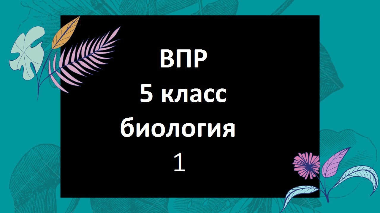 Впр 5 класс биология тип 13. Впр 4 класс.