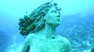 Grand Cayman Sunset House - Diving the Kittiwake and Amphitrite Statue August 5 2022