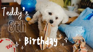 Teddy's 8th Birthday || Vlog - A Dog Who Loves To Open Presents
