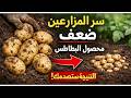 السر الذي يخفيه المزارعون كيف تضاعف محصول البطاطس بضبط المسافة فقط النتيجة ستصدمك