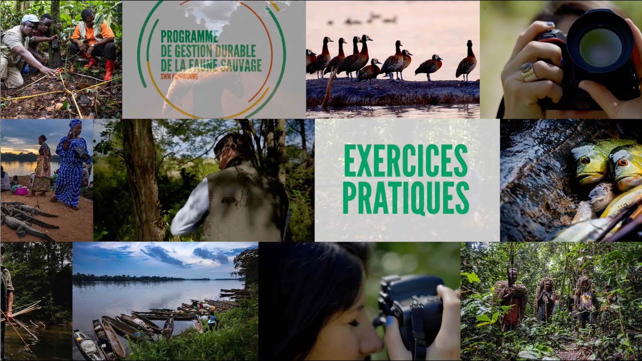 Exercices pratiques   Neuf conseils pour raconter des histoires  travers des photos et des vidos