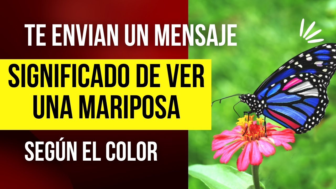 Que significa que entre una mariposa en casa