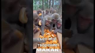 подходи за шаурмой