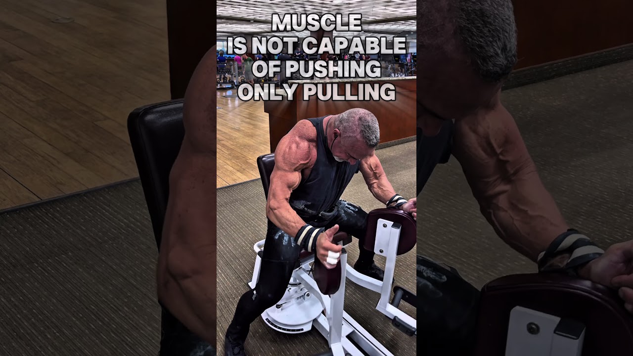 Мышцы способны только тянуть, а не толкать. 