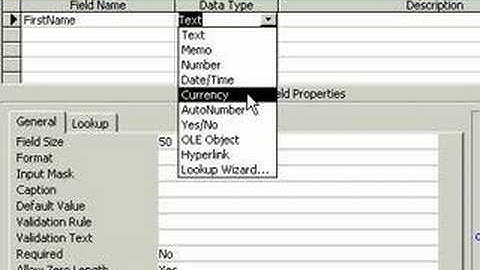 599CD Microsoft Access Tutorial 101.6