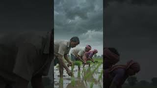 🌾 Beautiful Village Life | AI Cartoon Story | Peaceful Village Evening ❤️