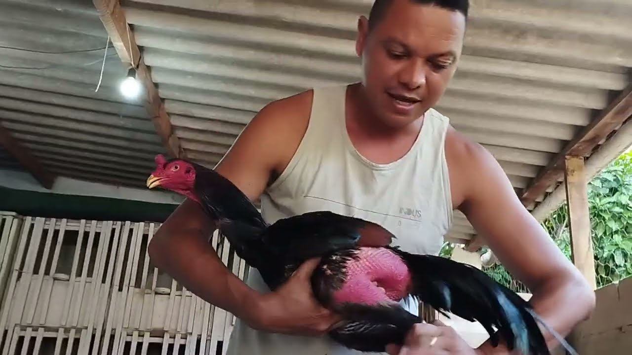 Levou e não aparelhou Saiba o que vc deve fazer