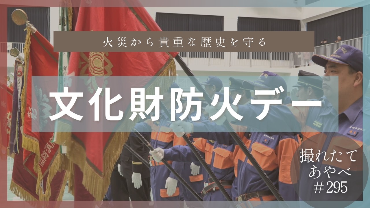 Freshly Photographed Ayabe No. 295 