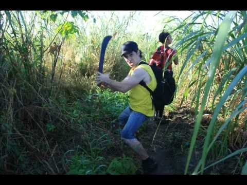 Filme de Moçambique