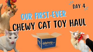 Our FIRST-EVER Chewy Cat Toy Haul - Best and Worst Finds! - Day 4 of My Week With the Cats