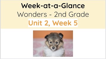 Unit 2, Week 5 - Wonders 2nd Grade - Week at a Glance