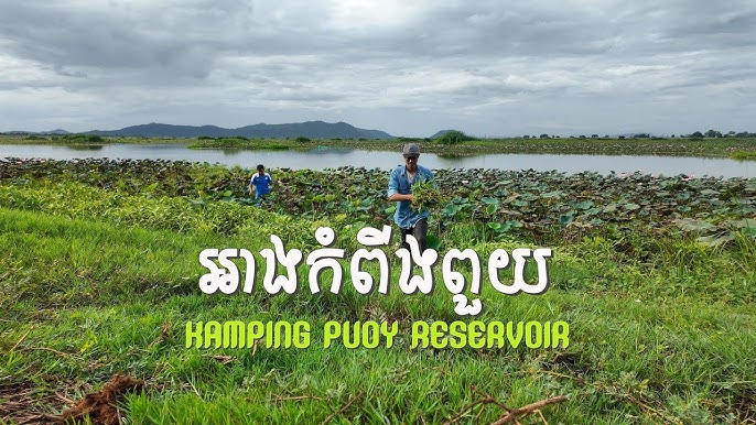 Krabida jinsiy turizm