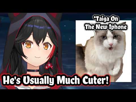 Mio's First Photo of Her Cat With a New iPhone Was Hilarious