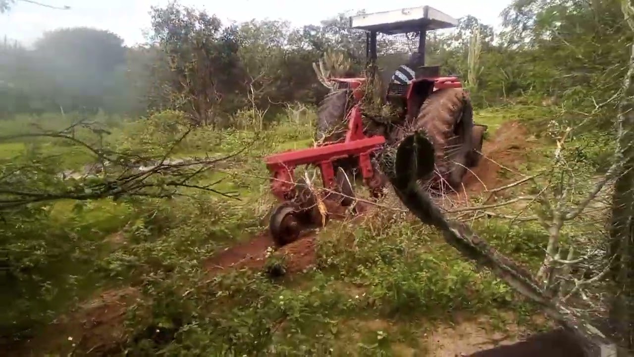 Arando Campo Sítio Santa Luzia - Parte l l.