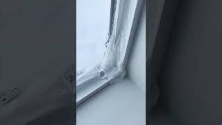 Download Lagu Frosted ice on windows #shorts MP3