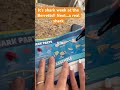 #shark #homeschooling #worldschooling #science #familyfun #grateful832