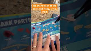 #shark #homeschooling #worldschooling #science #familyfun #grateful832