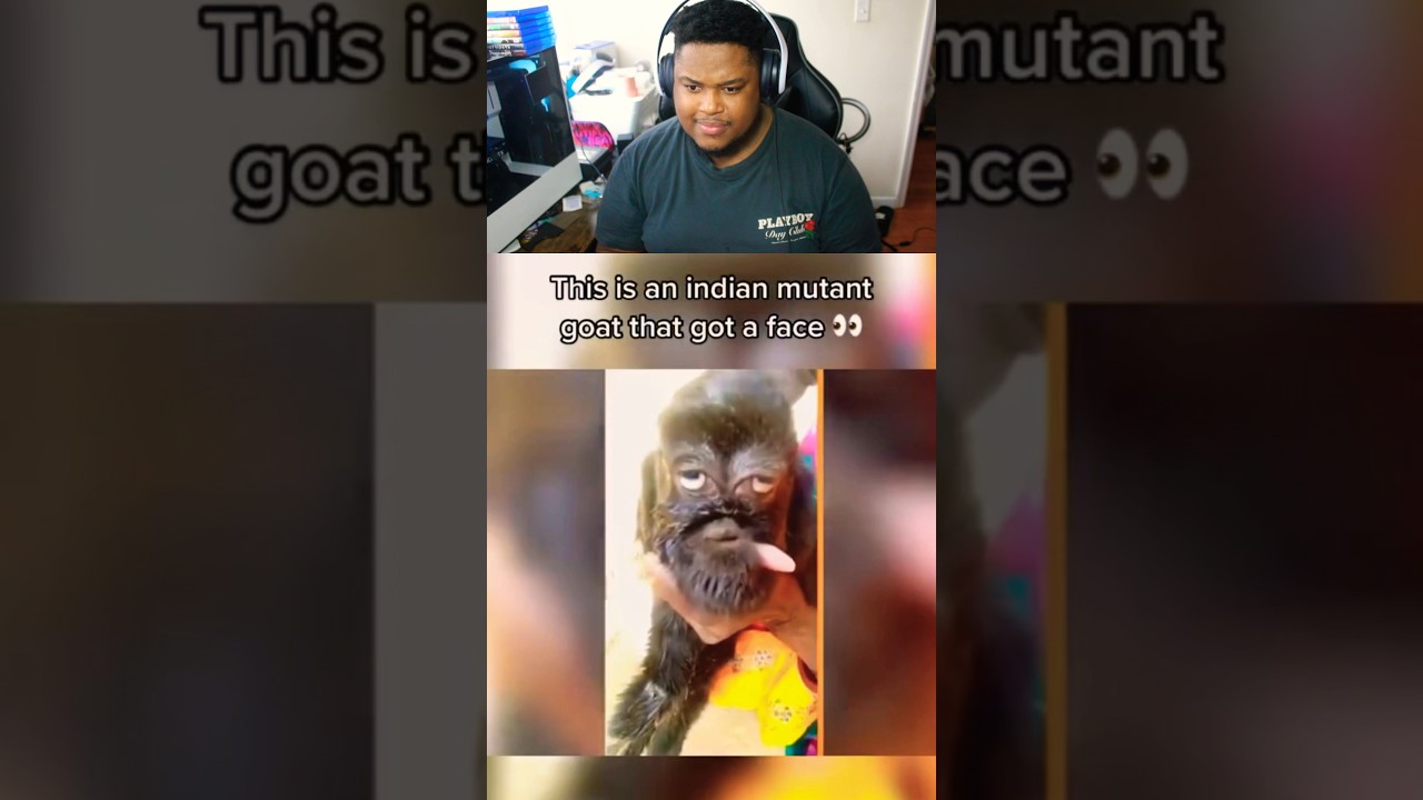 Human Faces on Animals 😨😳