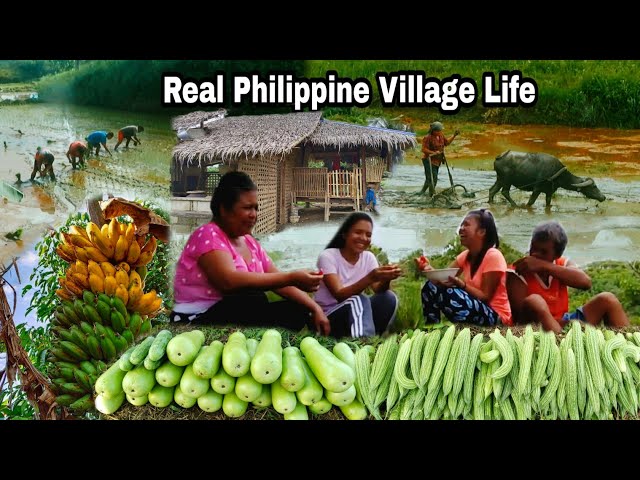 This Is What It's Like Living In The Village | Real Philippine Village Life class=