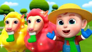 The Sheep Helps Everyone 🐑🎵 | Baa Baa Black Sheep | Rosoo Nursery Rhymes &amp; Kids Songs