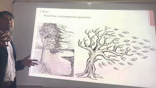 House Tree Person (HTP) part 2