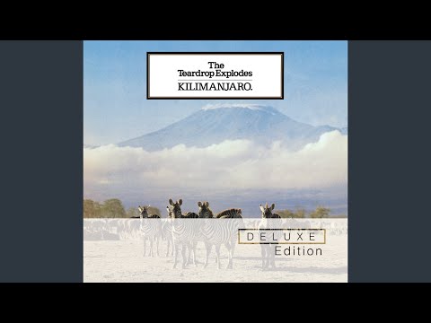 The Teardrop Explodes — Reward (Mike Read Session 27/10/80)