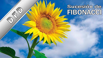 ⭐⭐⭐⭐⭐ La SORPRENDENTE serie FIBONACCI - Tutorial de DFD - ciclo mientras