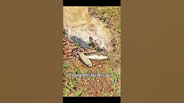 cống thoát nước nhưng không thoát cá #fishing #shorts