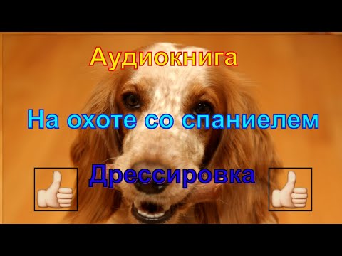 На охоте со спаниелем. Валов Н.А. Дрессировка