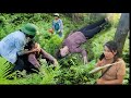 The Hypocrite: A Look Back at the Troubles of a Single Mother and Her Cousin./Triệuvi