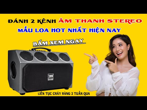 Loa karaoke xách