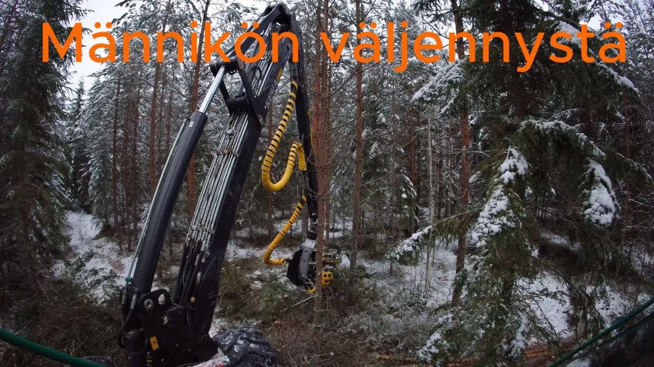Ihan hyvää männikkö Prosilva S3 & Kesla 19