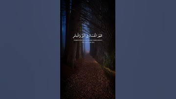 (ظهر الفساد في البر والبحر بما كسبت أيدي الناس) #سورة_الروم #محمد_اللحيدان