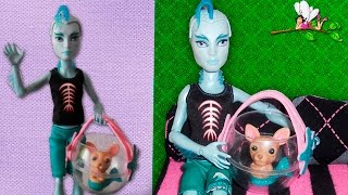 Как сделать АКВАРИУМ - ПЕРЕНОСКУ ПИТОМЦЕВ для кукол Monster High, Barbie / Muza Rukodeliya 🌺