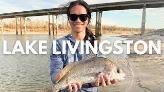 Family Fishing Day at Lake Livingston Vlog