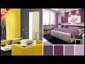 Latest Wall Color Combination For Room In 2021 Catalogue | Wall Paint Ideas | Gopal Home Decor