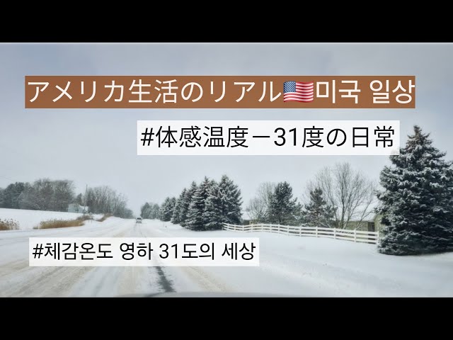 【日韓夫婦アメリカVlog🇺🇸】登校不可…体感温度−31度の世界 / 思いがけない3連休 / 初ネットスーパー利用  Ep.155