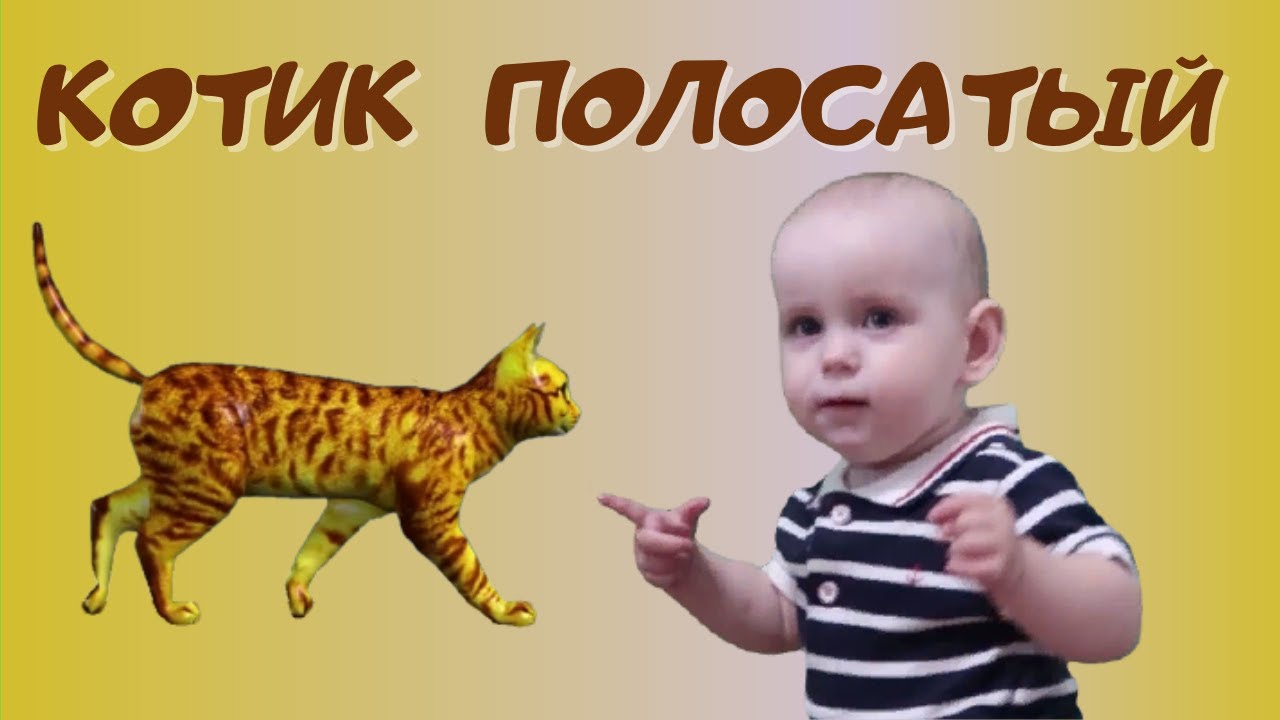 Полосатый котик мультик