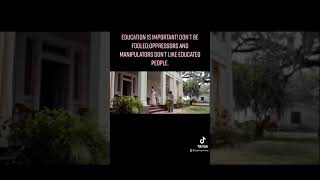 Movie 12 Years A Slave