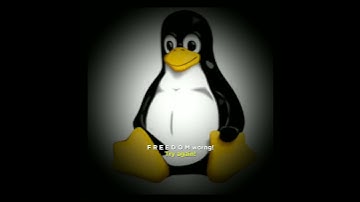 #linux #penguin #capcup #edit Friend or foe