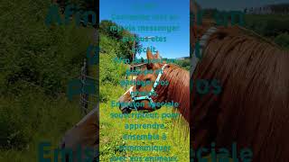 Annonce émission souscripteur "apprendre la communication animale"