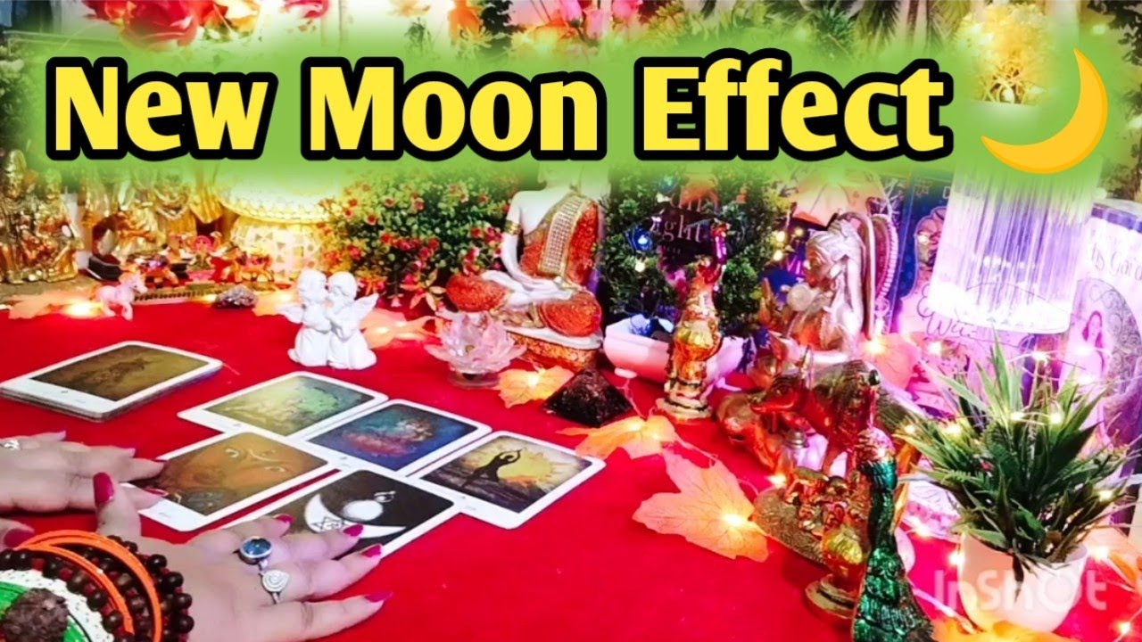 New Moon Guidance ️ Current Feelings Next Action 🧿 All Signs Collective ...