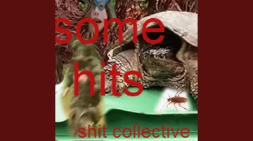 turtle on a trash can